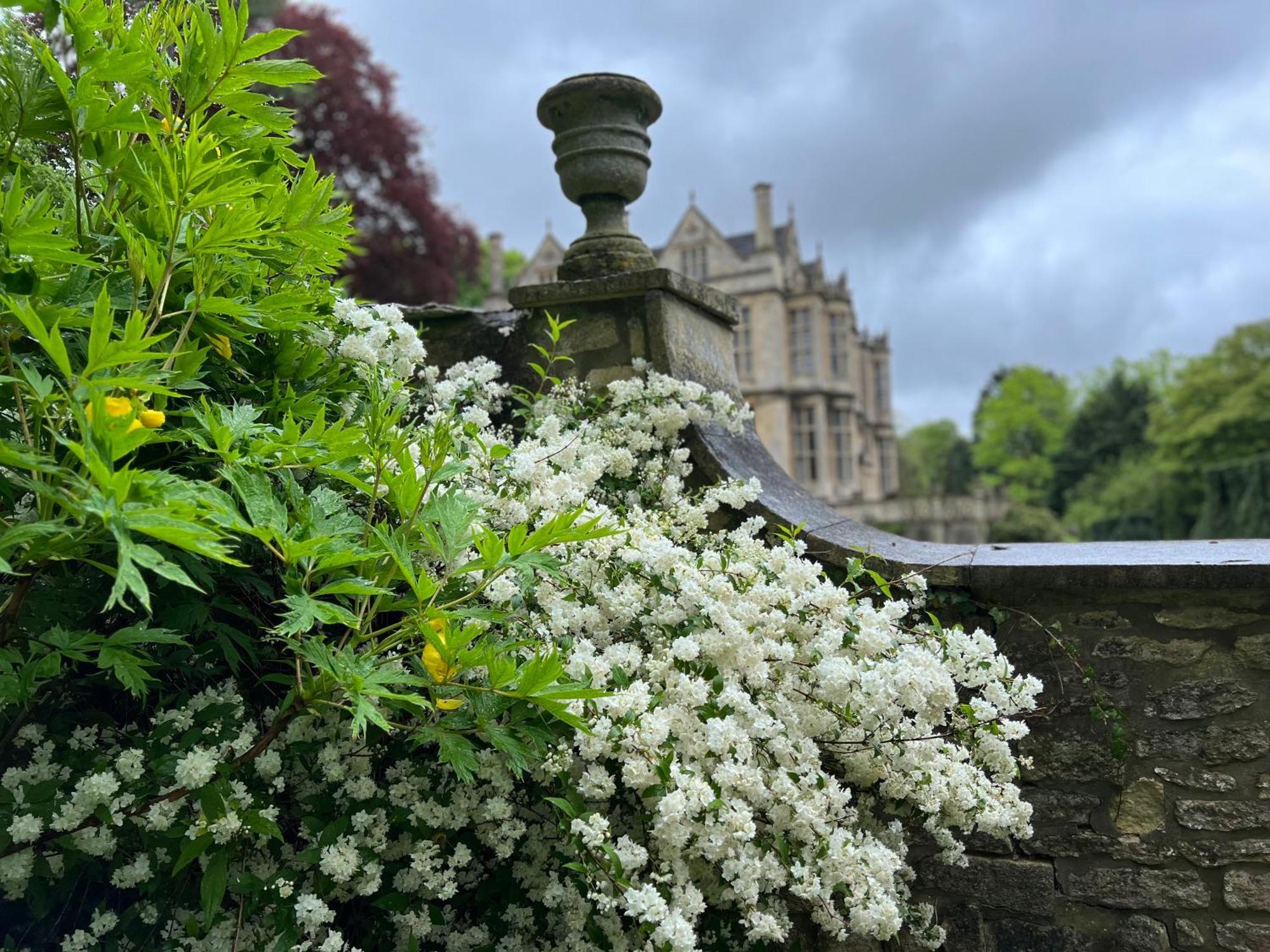 The Hall - Historic Grade I-Listed Jacobean Mansion Bradford-On-Avon Екстериор снимка