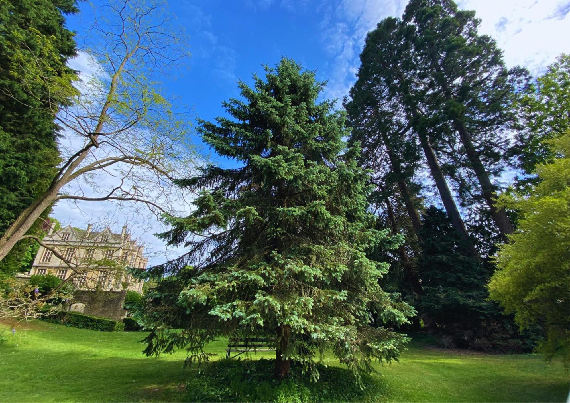 The Hall - Historic Grade I-Listed Jacobean Mansion Bradford-On-Avon Екстериор снимка